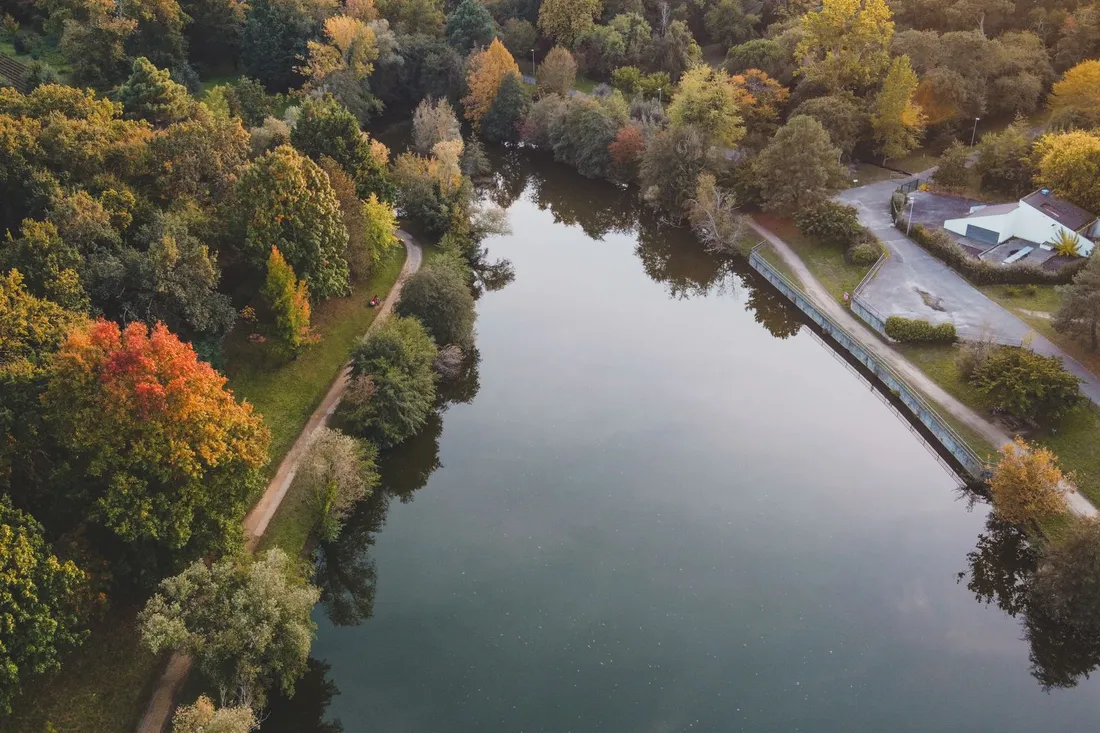 Urbaner Park am Wasser mit Grünflächen und Stadtkulisse