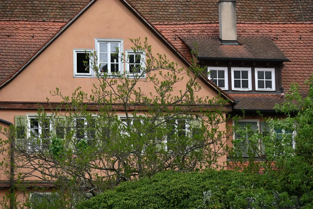 Ruhige Straße mit Stadtvillen und altem Baumbestand